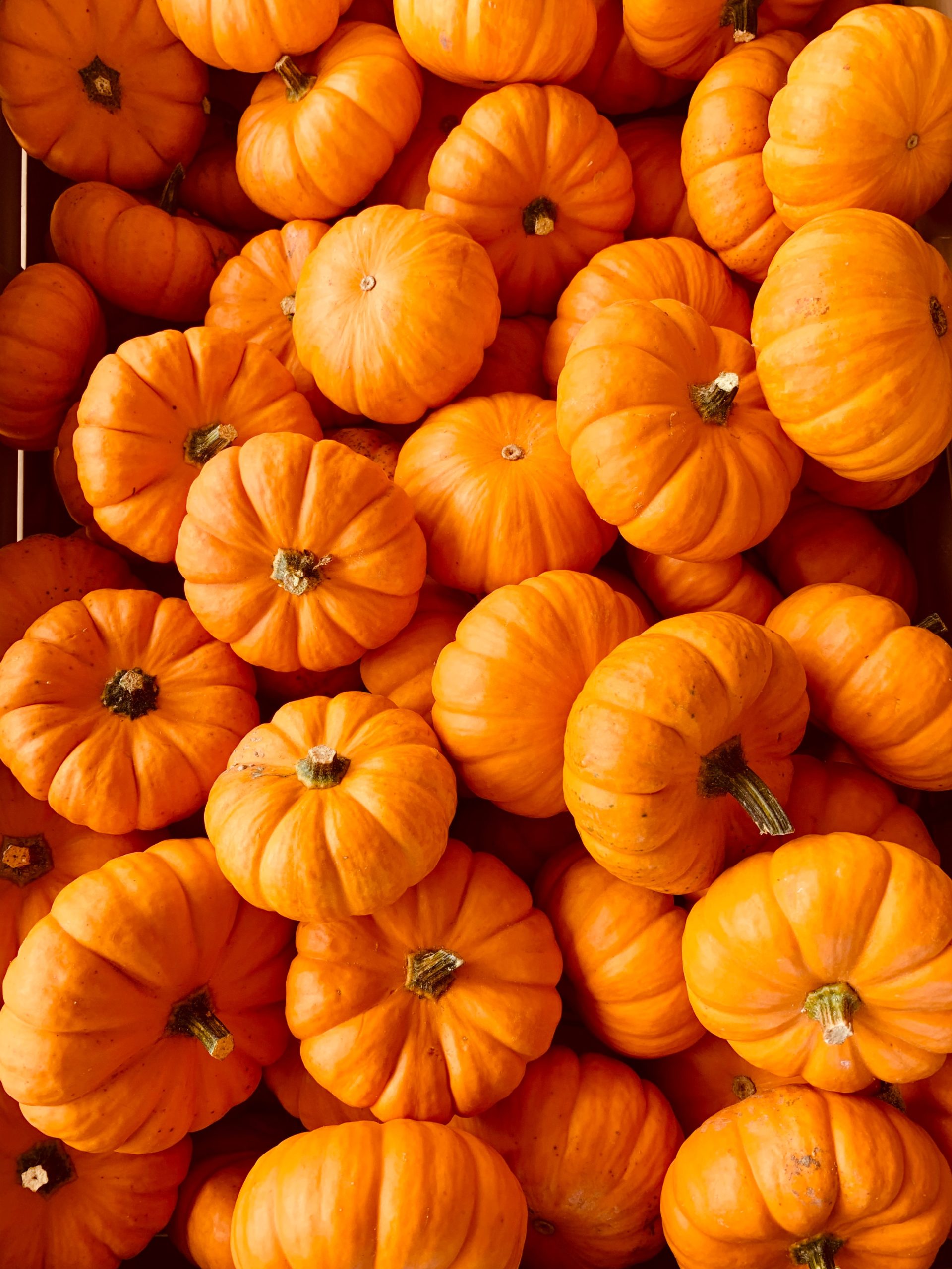 Pump Up Your Health with Pumpkins!